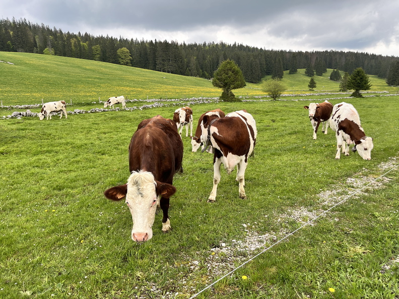 23-05-21 15-38-41 5530